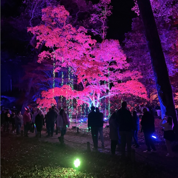 Meet your Posher, Leah - Picture 1 of 1